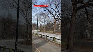 New York Central Park [upl. by Anerak]