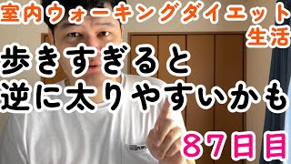 【室内ウォーキングダイエット生活】歩きすぎると逆に太りやすいかも【87日目】ウォーキングダイエット筋トレしたくない人向け [upl. by Laith]