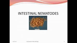 Intestinal Nematodes Part I [upl. by Raychel]