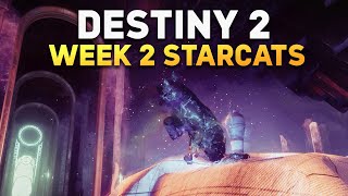 All 4 Week 2 Starcat Collectible Locations  Destiny 2 Season of the Wish [upl. by Nallac372]