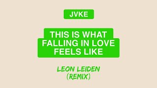 JVKE  this is what falling in love feels like Leon Leiden Remix Official Lyric Video [upl. by Scarrow]