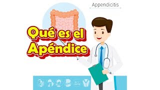 Qué es el Apéndice sintomas y para que sirve Apendicitis y Peritonitis [upl. by Adiela643]