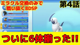 【ミラクル交換のみで戦い抜くBDSP④】ついに埋まった手持ちポケモン、、、これはいけるか、、、？ [upl. by Letnom]