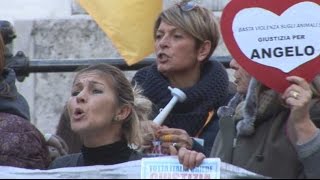 Parlamento Italiano PAE e NOITA per Angelo Da Sangineto a Roma [upl. by Philender]