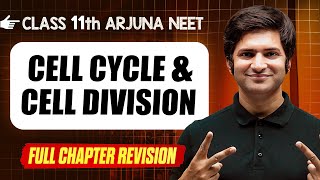 Cell Cycle amp Division  COMPLETE Chapter in 1 Video  Quick Revision  Class 11th Arjuna NEET [upl. by Liahkim156]