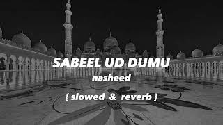 Sabeel ud dumu nasheed slowed amp reverb heart touching nasheed [upl. by Sihon]