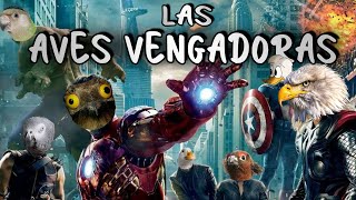 Aves con SUPERPODERES 🦸 Descubre los ¡Poderes Increíbles de las Aves 🌟 [upl. by Eirovi]