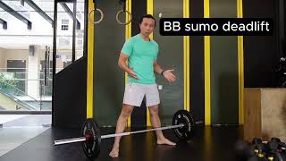 BB Deadlift vs Sumo vs RDL [upl. by Acceb832]