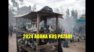 2024 ADANA KUŞ PAZARI [upl. by Reo]