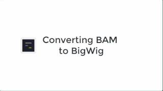 Converting BAM to BigWig [upl. by Alburga]