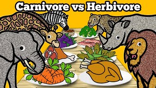 Herbivore Carnivore and Omnivore Animals for Kids  Educational Videos for Kids [upl. by Sivla]