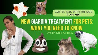 New Treatment for Giardia for Dogs amp Cats with Holistic Vet  Dr Katie Woodley [upl. by Aidnahs]