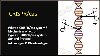 CRISPRCAS technology explained  Gene editing technique Part3 [upl. by Griff948]