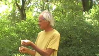 Wildkräuterwanderung mit Prof Dr Bernd Gerken [upl. by Strenta]