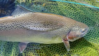 4K Sea Okhotsk Yubetsu river 湧別川 本流レインボー amp small dam lake  slow fishing [upl. by Nawyt940]