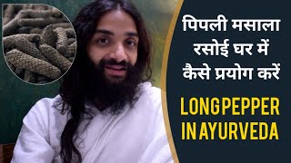 पिप्पली रसोई घर में कैसे प्रयोग करें  LONG PEPPER BENEFITS amp PROPER USES  LONG PEPPER IN AYURVEDA [upl. by Erminia]