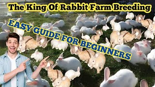 The King Of Giants Breeding Rabbit Easy Guide For Beginners [upl. by Harriman885]