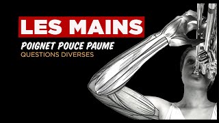 ANATOMIE DE LA MAIN  Y atil des muscles dans les doigts [upl. by Boles184]