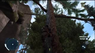 Lets Play Assassins Creed 3  Part 10  Rest in Peace GermanDeutsch [upl. by Ybbed]