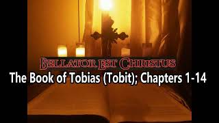 The Book of Tobias Tobit Chapters 114 [upl. by Gaal335]