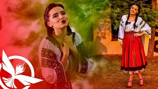 Mix Folclor Romanesc 🇷🇴 Muzica Noua Romaneasca de Petrecere Best Romanian Music Party by Zeno Music [upl. by Ahtnamas]