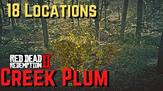 Creek Plum NEW Locations All Day Cycles Red Dead Redemption 2 [upl. by Nyliret]