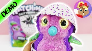 HATCHIMALS BROKATOWE JAJKO PĘKA NOWOŚĆ polski  urodziny PENGUALAS [upl. by Yme]