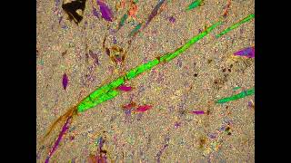 Tremolite in thin section [upl. by Klayman373]