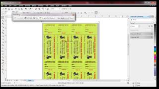 Raffle Ticket Numbering  How to number raffle tickets with Number Pro and Corel Draw [upl. by Ahcsrop]