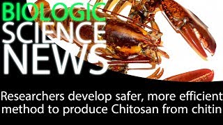 Science News  Researchers develop safer more efficient method to produce Chitosan from chitin [upl. by Quartis876]