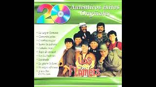 Gran Reventon Vol 5 LOS FLAMERS [upl. by Alroy]