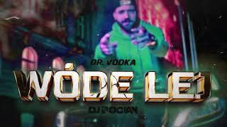 DR VODKA  WÓDE LEJ  DJ BOCIAN REMIX  2024 [upl. by Stokes401]