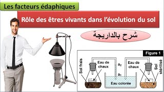 Rôle des êtres vivants dans lévolution du sol شرح بالداريجة [upl. by Ardnassela]