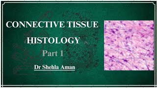 Connective Tissue 1  Connective Tissue proper  body tissues Human Histology  Dr Shehla Aman [upl. by Eidorb137]