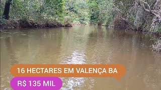 SITIO COM 16 HECTARES EM VALENÇA BA CÓDIGO0150 ZAP 73981663547 [upl. by Ahsemak99]