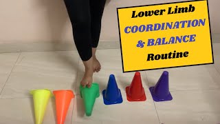 6 Important Lower Limb Coordination amp Balance Exercises [upl. by Fleda925]