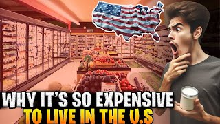 Why It’s So Expensive To Live In The US [upl. by Schaffel]