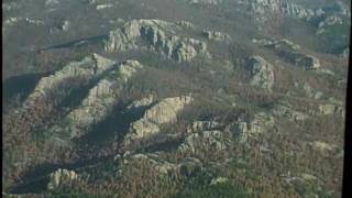 Helicopter tour over pine beetle invested trees in the Black Hills [upl. by Bartram]