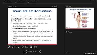 Day 12 BIO 211 720 Lecture FA2024 Immune System [upl. by Ojyram]