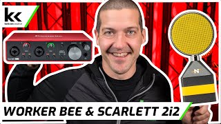 NEAT Worker Bee amp Focusrite Scarlett 2i2  Setup amp Demo [upl. by Oicul]