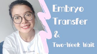 IVF Journey 胚胎移植是怎样的体验❓Embryo Transfer amp Two Week Wait [upl. by Benisch377]