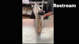 Machine Cuts Fish In Seconds [upl. by Aelaza]