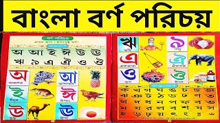 Bangla bornomala  এসো বর্ণমালা শিখি  সরবর্ণ ও ব্যাঞ্জনবর্ণ  learn bengali alphabets [upl. by Nilde]