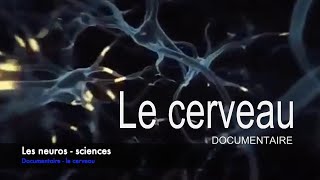 REPOPRTAGE  Les neurosciences le cerveau [upl. by Garrison910]