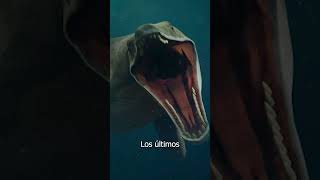 5 MONSTRUOS Marinos MÁS GRANDES del MUNDO  EL MOSASAURUS [upl. by Onairpic783]