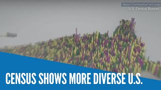 Census shows more diverse U S [upl. by Turino972]