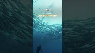 The Philippines  Nominated Asia’s Leading Dive Destinations in the World Travel Awards 2024 [upl. by Eibreh]