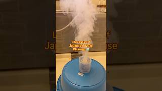 JAPAN cleaning lifehacks 😱 Smoke bomb for mold japan japanese tokyo cleaning shorts [upl. by Asiek738]