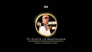 Te Gusta La Marihuana  Dj Henry ❌ Dj Sandungueo ❌ Dj Micky [upl. by Enomar]