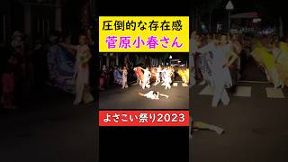 よさこい祭りに、菅原小春さんが降臨！①よさこい祭り2023 よさこい yosakoi [upl. by Gnehc483]